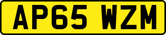 AP65WZM