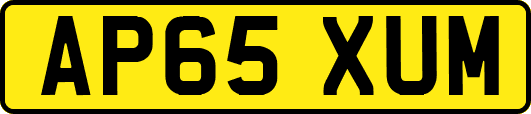 AP65XUM