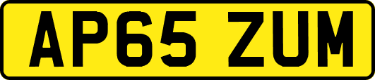 AP65ZUM