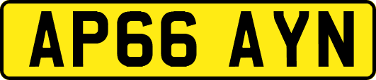 AP66AYN