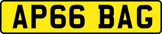 AP66BAG