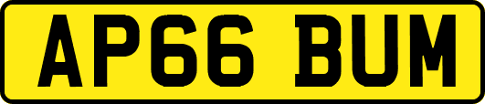 AP66BUM