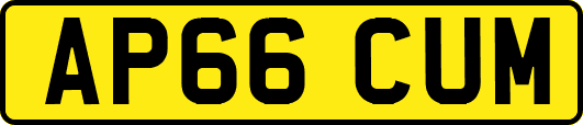 AP66CUM