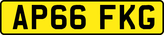 AP66FKG