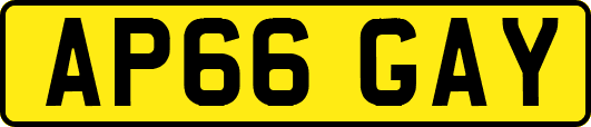 AP66GAY