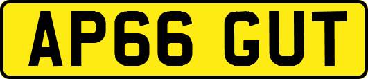 AP66GUT