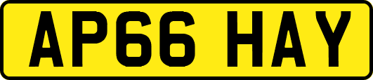 AP66HAY
