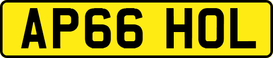 AP66HOL