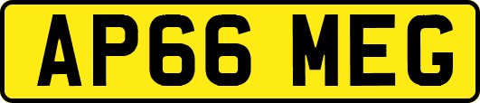 AP66MEG
