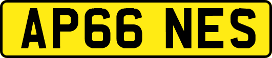 AP66NES