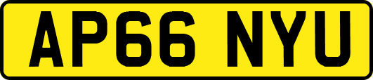 AP66NYU