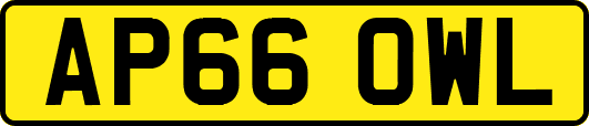 AP66OWL