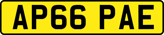 AP66PAE