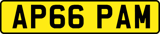 AP66PAM