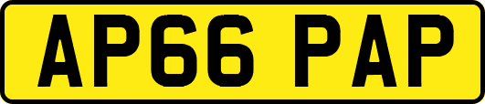 AP66PAP