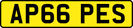 AP66PES
