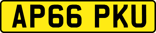 AP66PKU