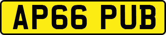 AP66PUB