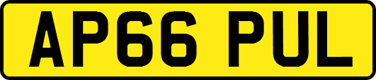 AP66PUL