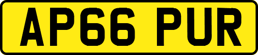AP66PUR