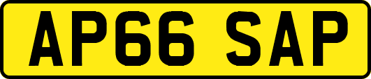 AP66SAP