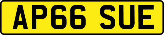 AP66SUE