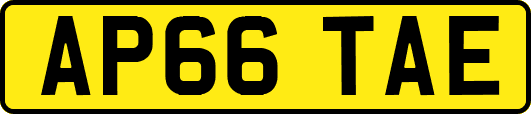 AP66TAE