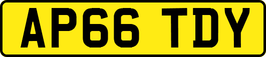 AP66TDY