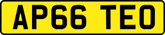AP66TEO