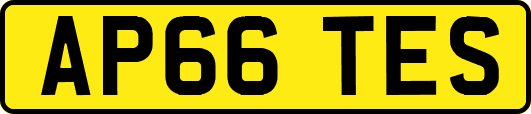 AP66TES