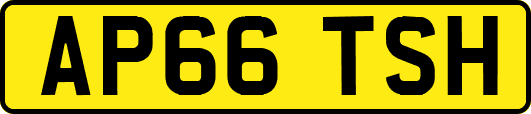 AP66TSH