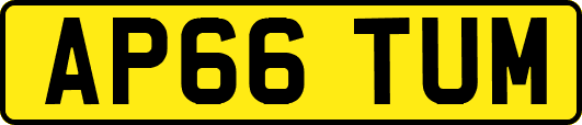 AP66TUM