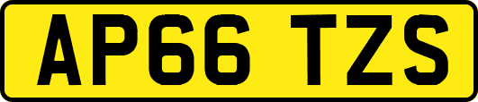 AP66TZS