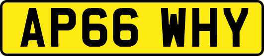 AP66WHY