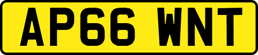 AP66WNT