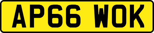 AP66WOK
