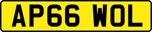 AP66WOL