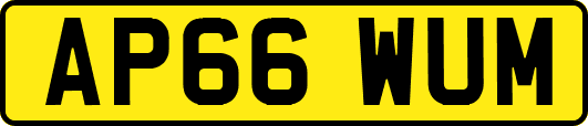AP66WUM