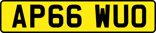 AP66WUO