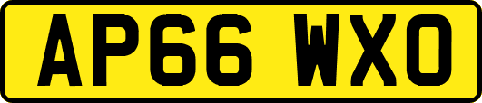 AP66WXO