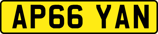 AP66YAN