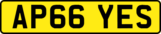 AP66YES