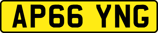 AP66YNG