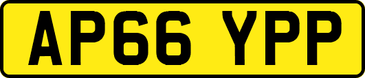 AP66YPP