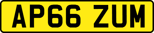 AP66ZUM