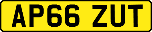 AP66ZUT