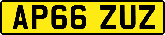 AP66ZUZ