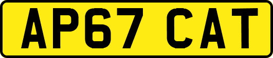 AP67CAT