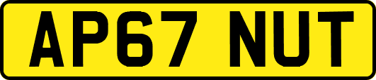 AP67NUT