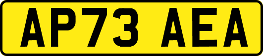 AP73AEA